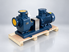 ZX Self Priming Chemical Pump